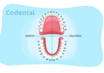 numeração dos dentes