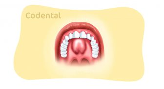 Tórus palatino: entenda tudo sobre essa condição