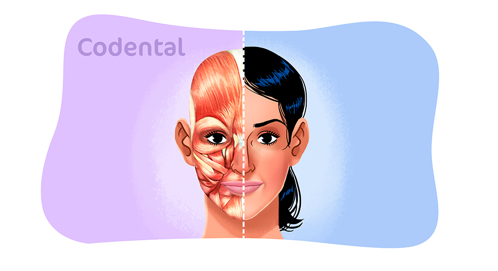 É importante entender como as partes do rosto se relacionam entre