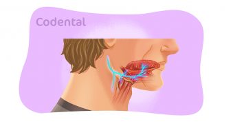 Nervo hipoglosso: tudo que você precisa saber!