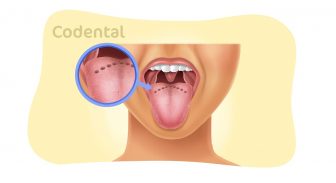 Papilas circunvaladas: tudo que você precisa saber sobre!